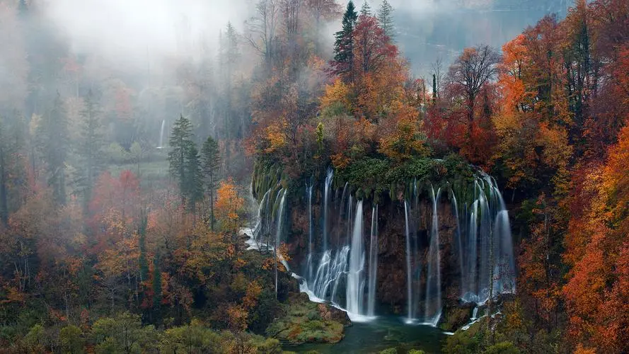 全自动智能系统